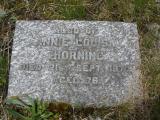 image of grave number 244516